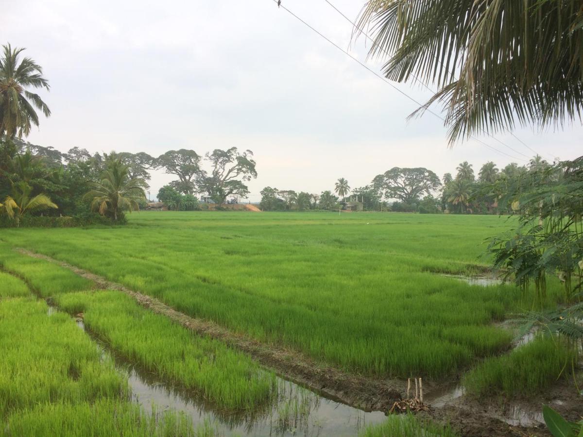 Hotel View Point Tissamaharama Camera foto